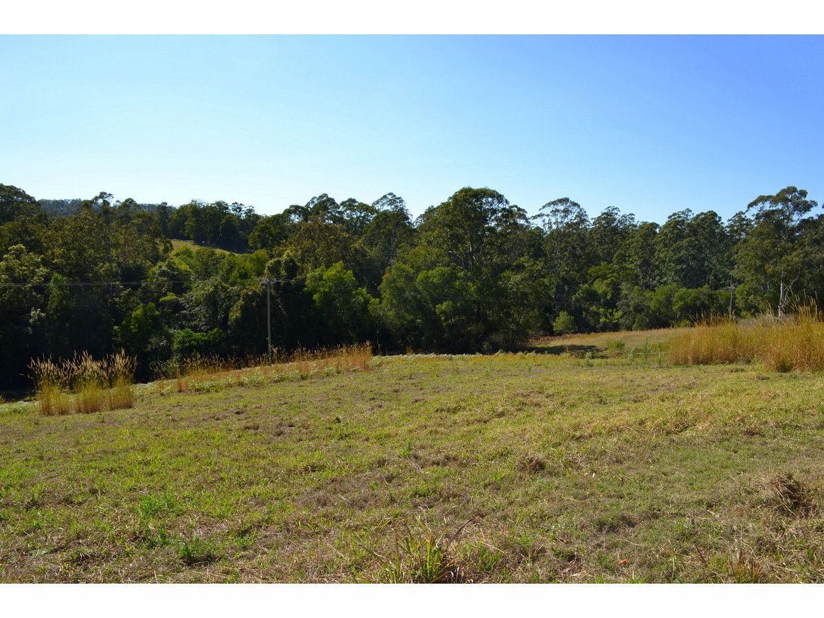 442 Bellangry Road, Mortons Creek NSW 2446, Image 2