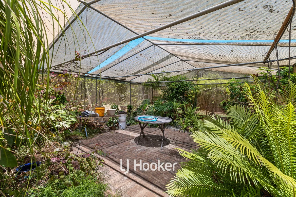 Image 21