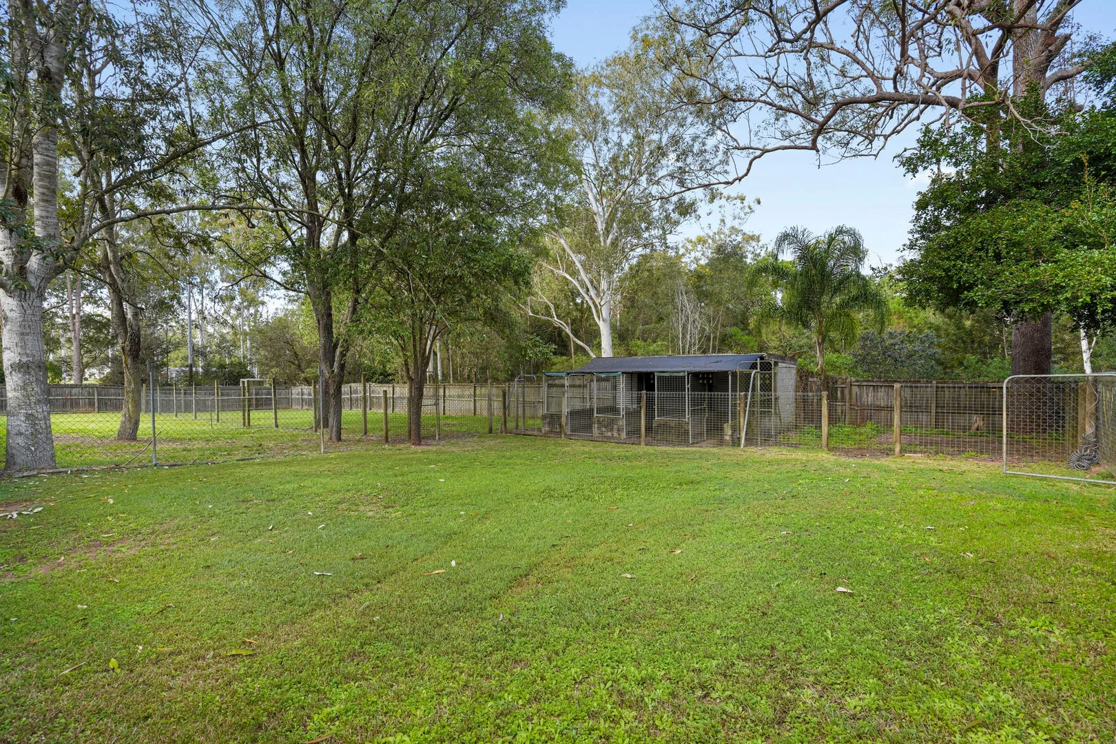 Image 15