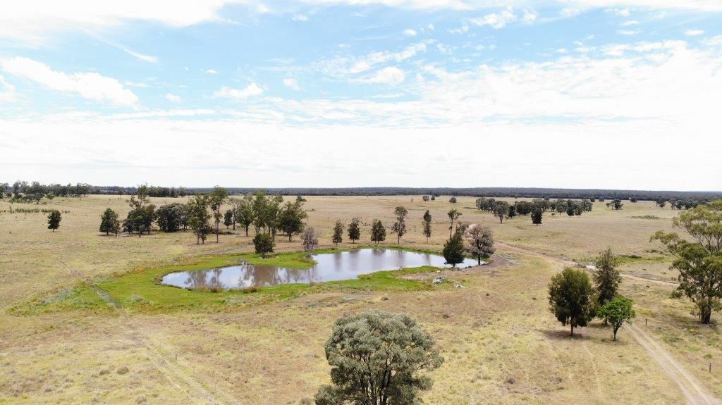 1347 Acres | Cattle Property, Chinchilla QLD 4413, Image 2