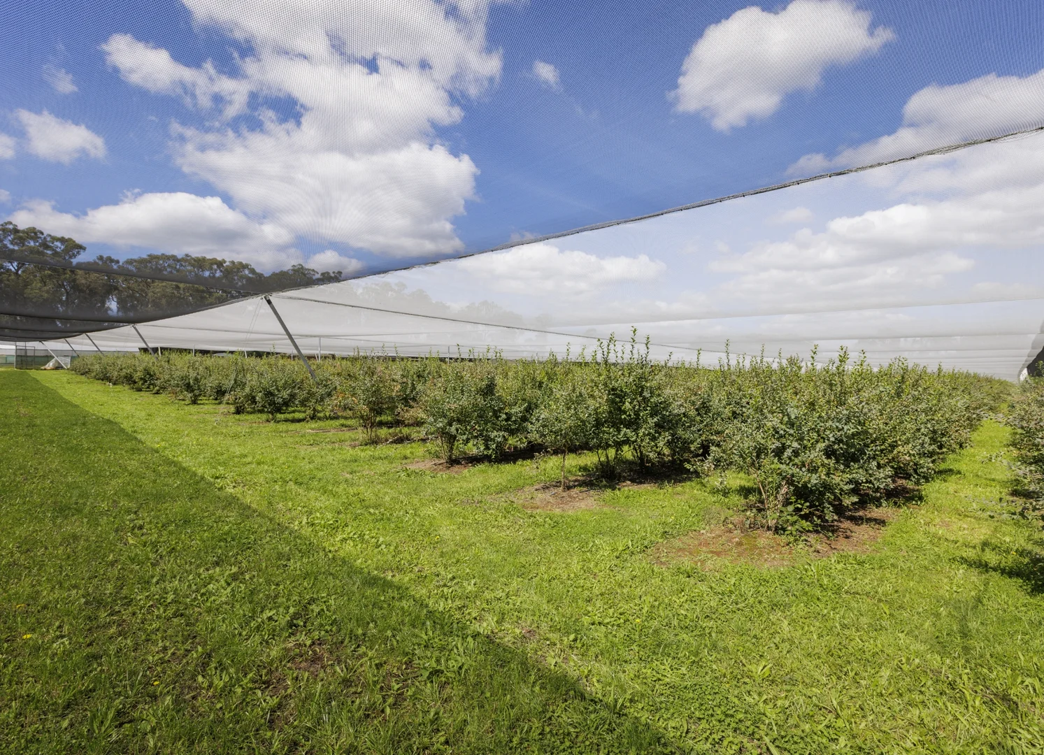 Additional image 26 of 1363 Whittlesea Yea Road, Kinglake West VIC 3757