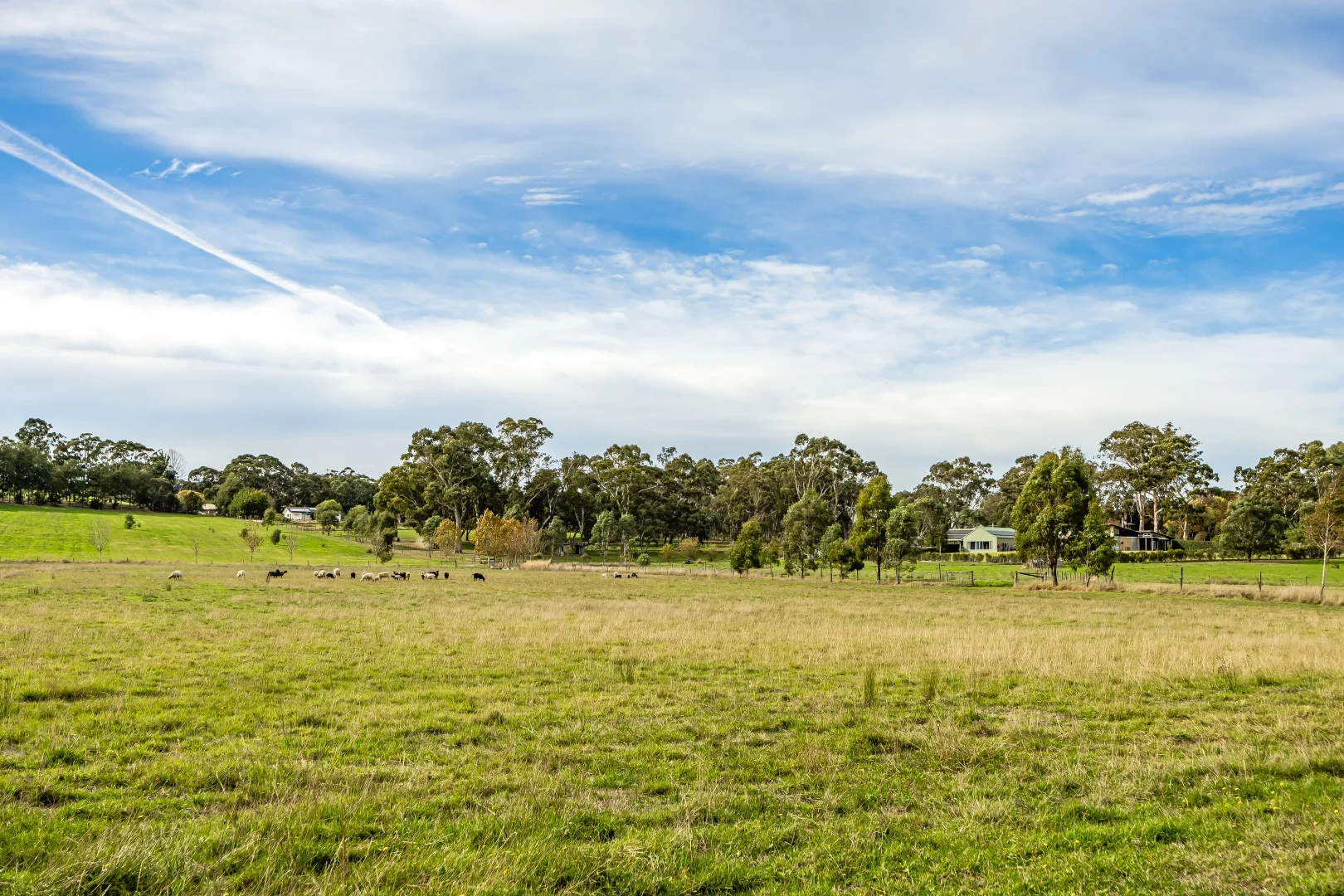 Image 50
