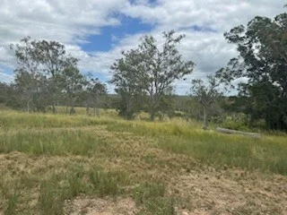 Image 16