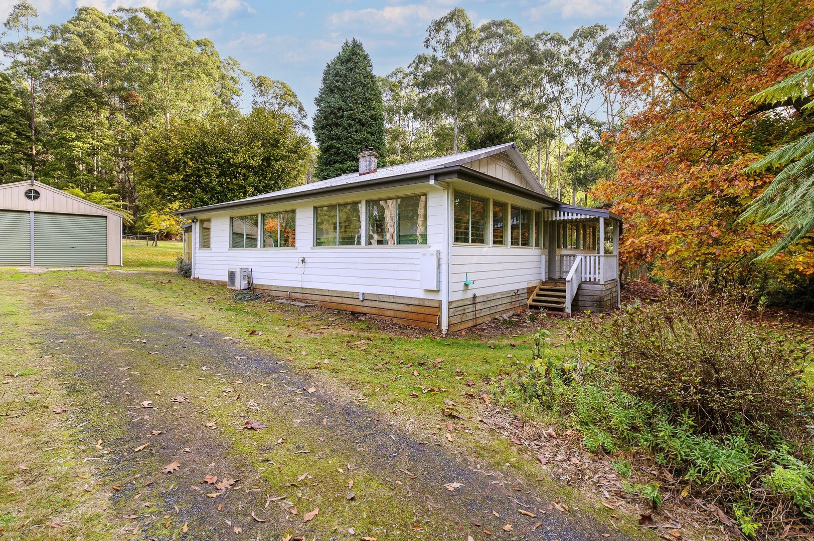 220 Big Pats Creek Road, Big Pats Creek VIC 3799, Image 1