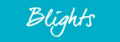 Blights Real Estate - Kadina's logo