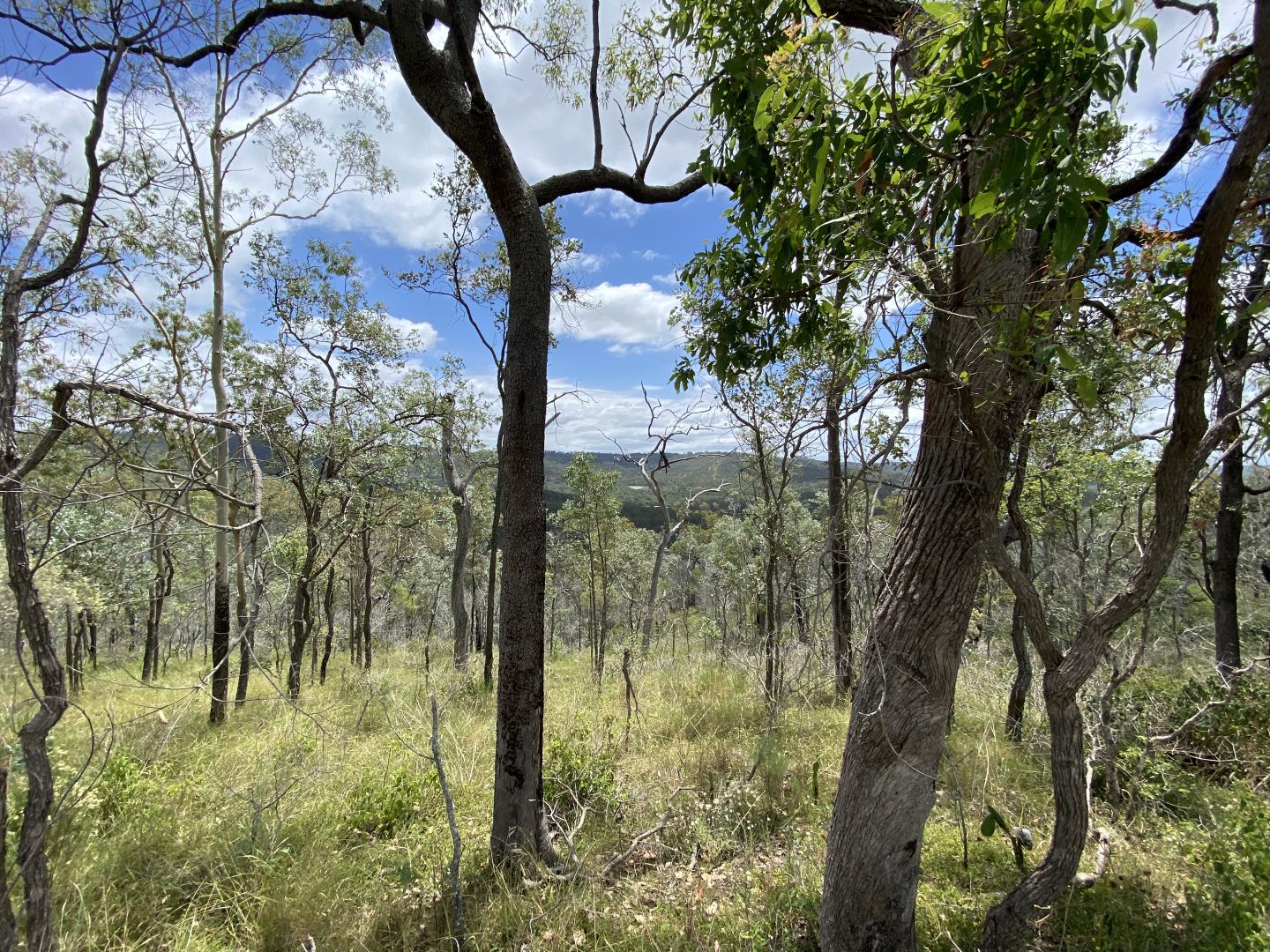 Lot 662 Murphys Creek Road, Murphys Creek QLD 4352, Image 1