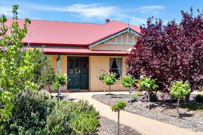 Picture of 14 KEITH PAYNE COURT, LOXTON SA 5333