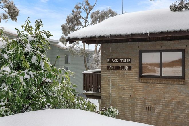 Picture of 6/37 The Avenue, MOUNT BULLER VIC 3723