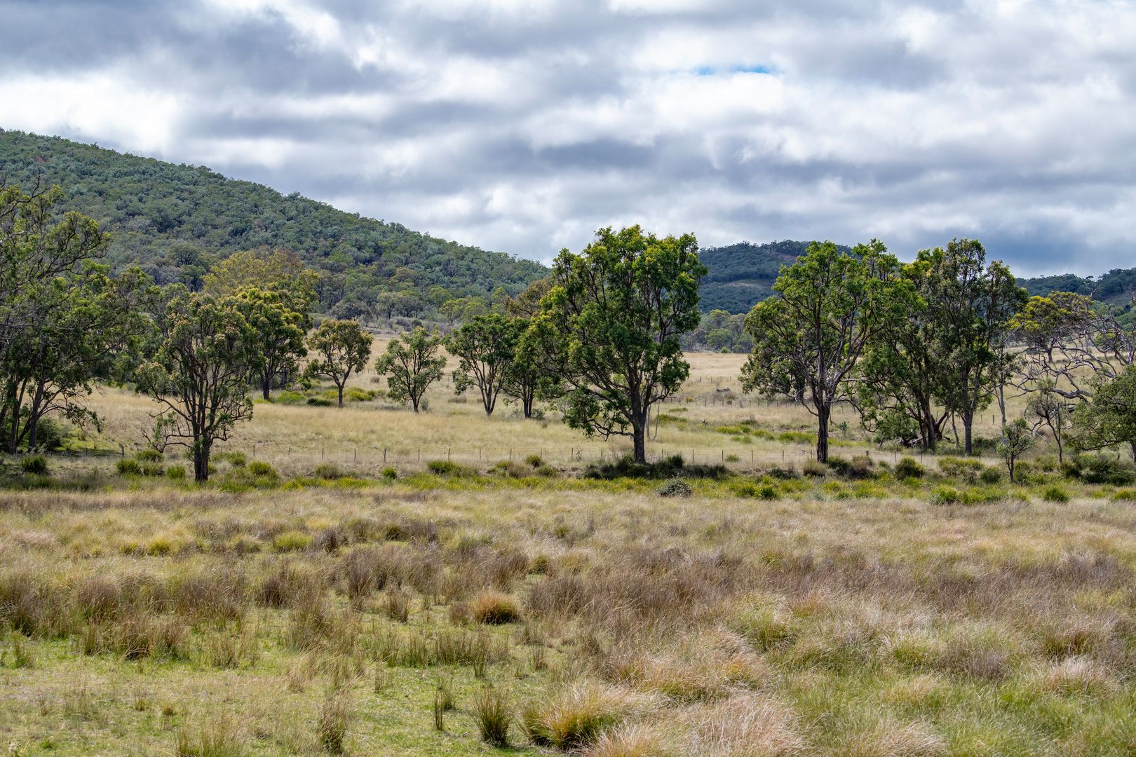 1490 Back Creek Road, Back Creek NSW 2372, Image 1