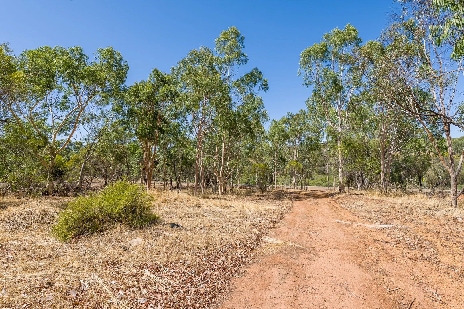 Image 31