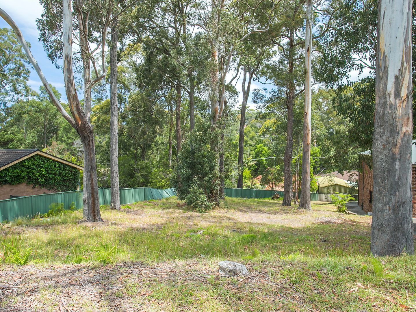 11 Bushland Avenue, Mollymook NSW 2539, Image 1