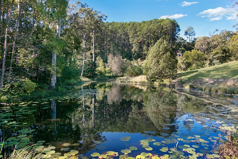73 Upper Duroby Creek Road, North Tumbulgum NSW 2490, Image 0
