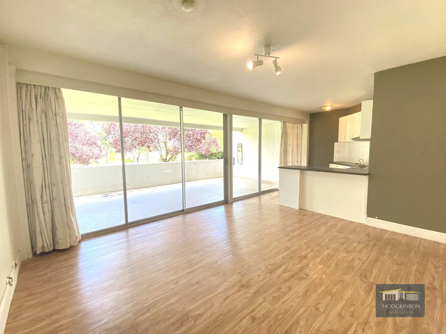 Additional image 3 of 9/6 Wilkins Street, Mawson ACT 2607