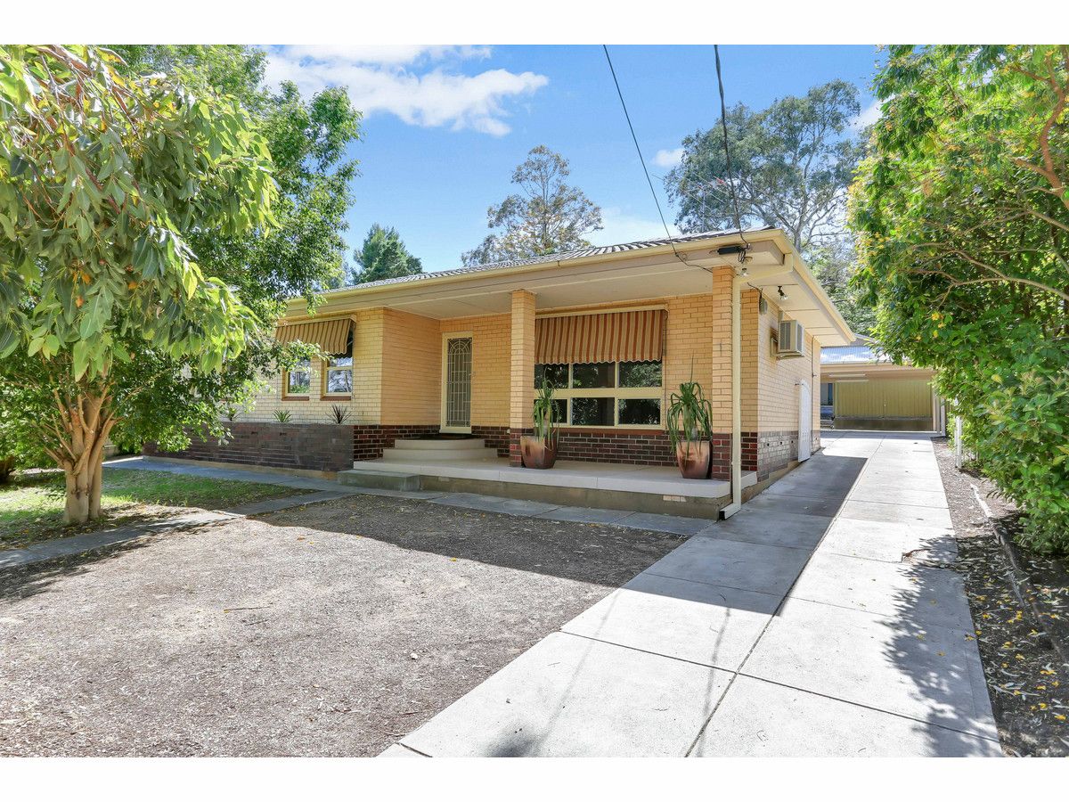 245 Hancock Road, Banksia Park SA 5091, Image 1