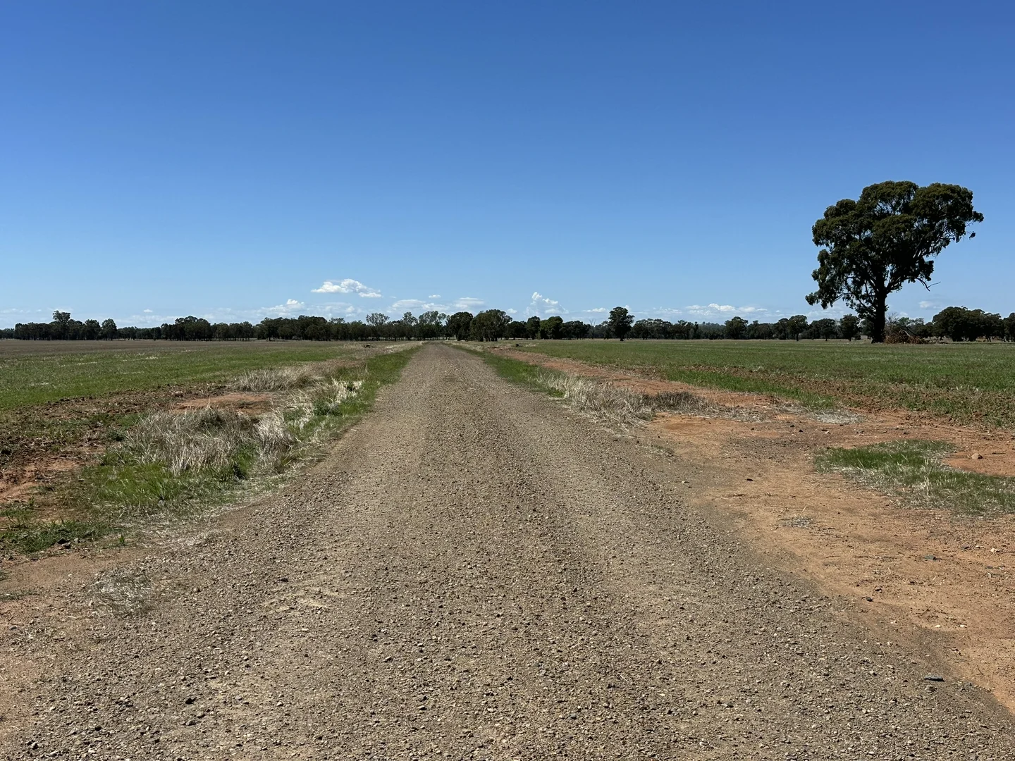 Additional image 7 of 1501 Howlong-Goombargana Road, Brocklesby NSW 2642