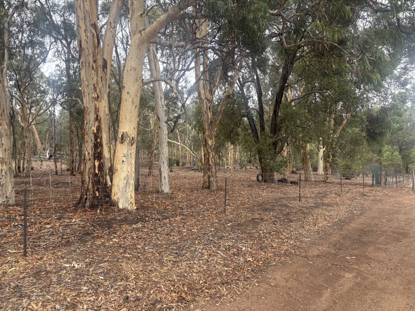 Additional image 9 of 165 Caladenia Drive, Coondle WA 6566