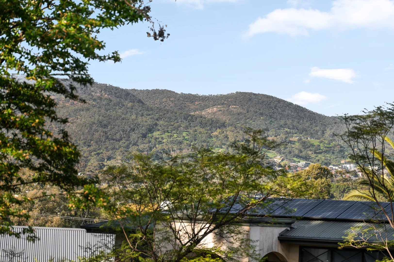 Image 23