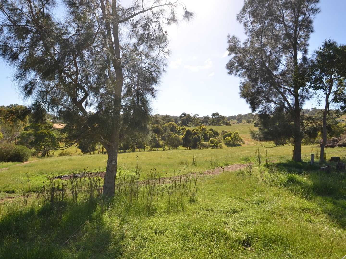 47 Logue Road, Harvey WA 6220 House for Sale 425,000 Domain