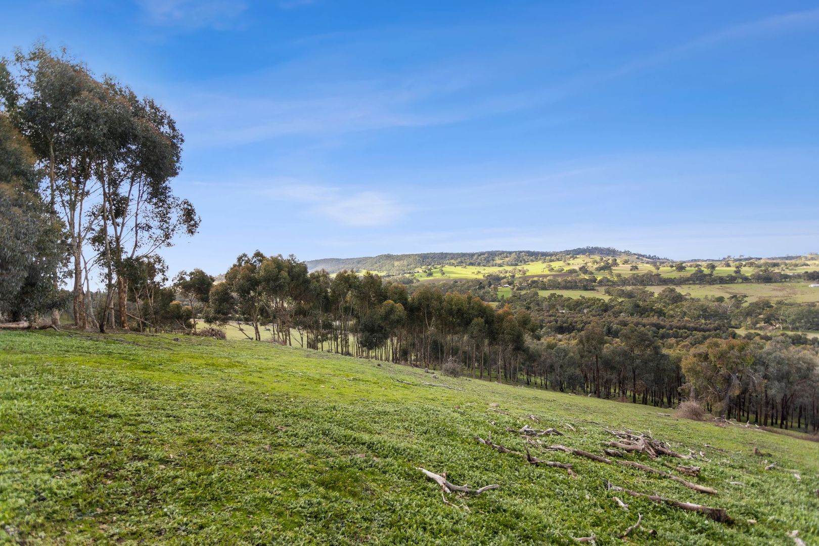 600 Specimen Gully Road, Faraday VIC 3451, Image 2