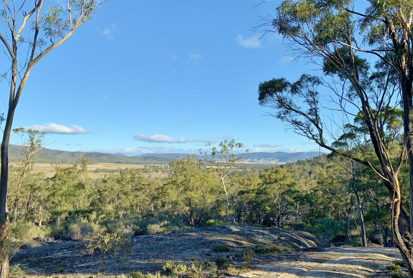 Lot 1 Leona Rd, Avoca TAS 7213, Image 0