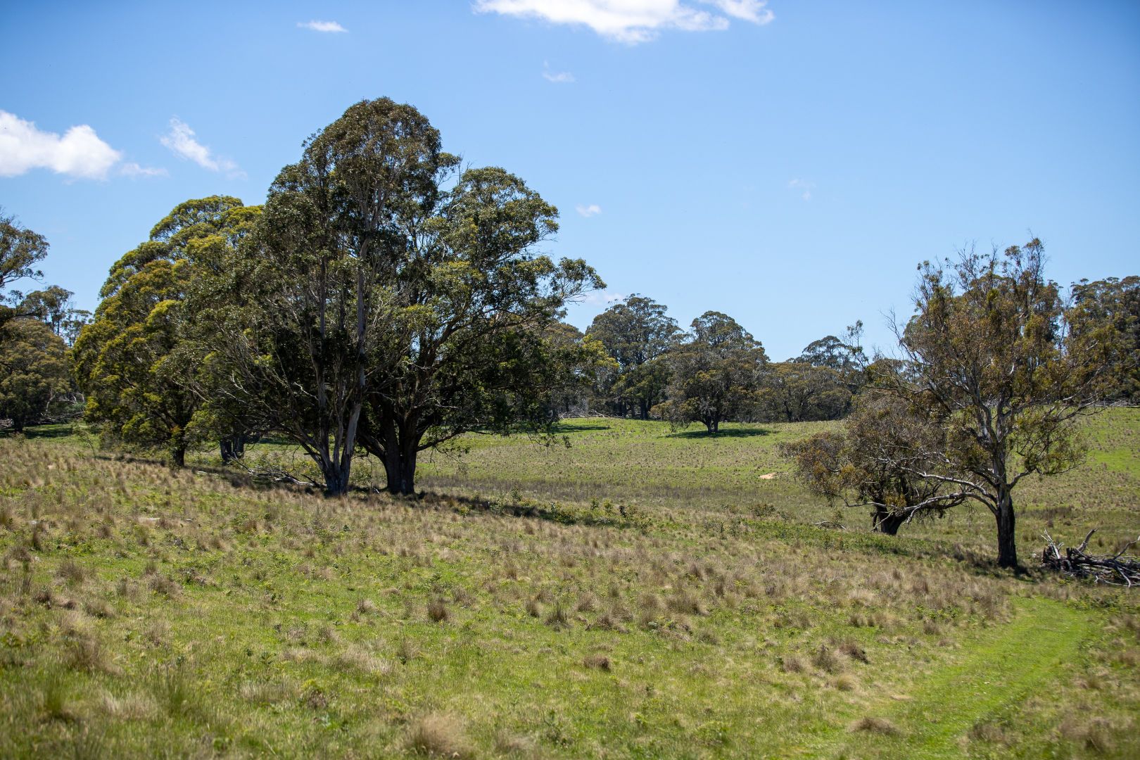 1007 Bark Hut Road, Walcha NSW 2354 House for Sale Domain
