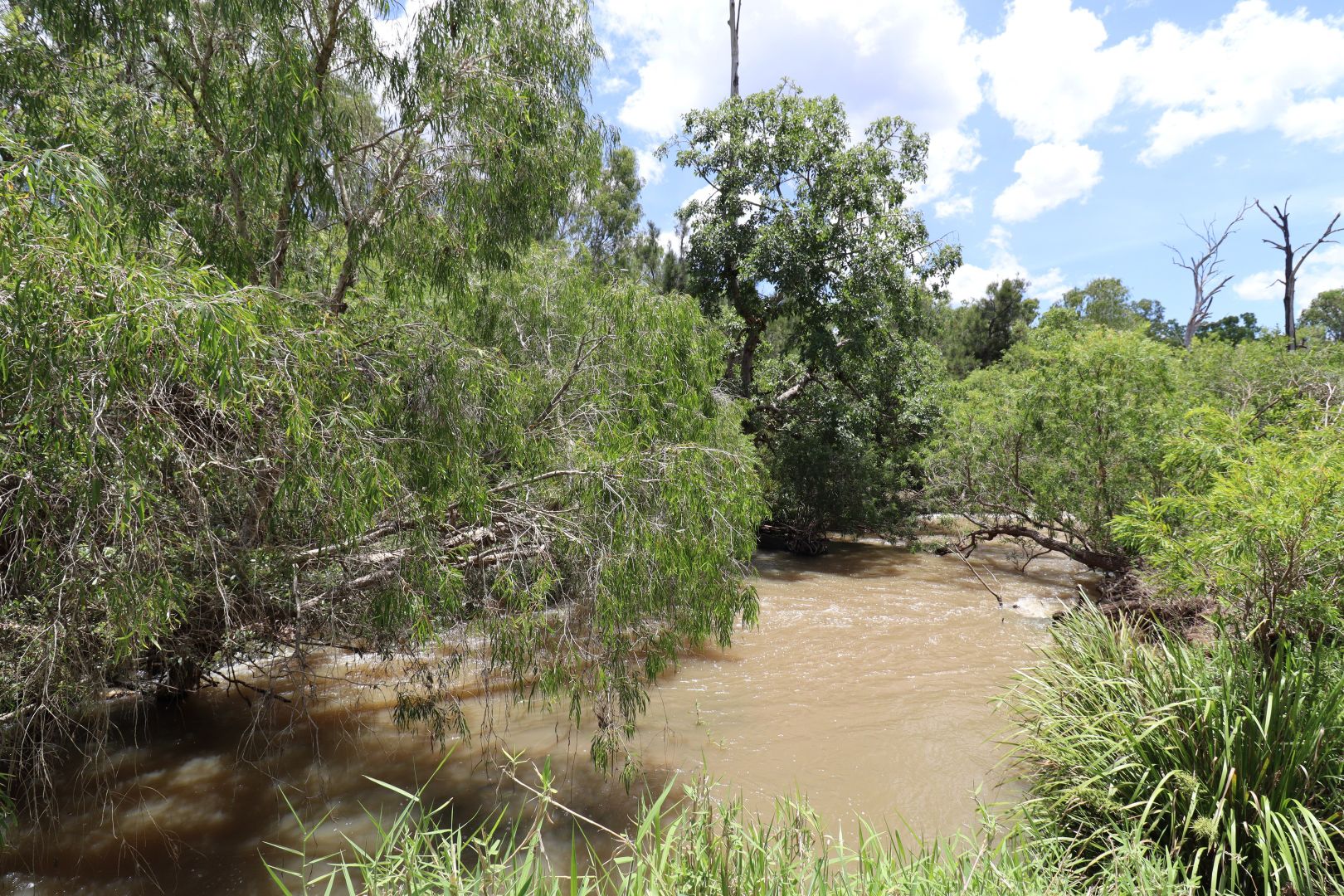 Innot Hot Springs QLD 4872, Image 2