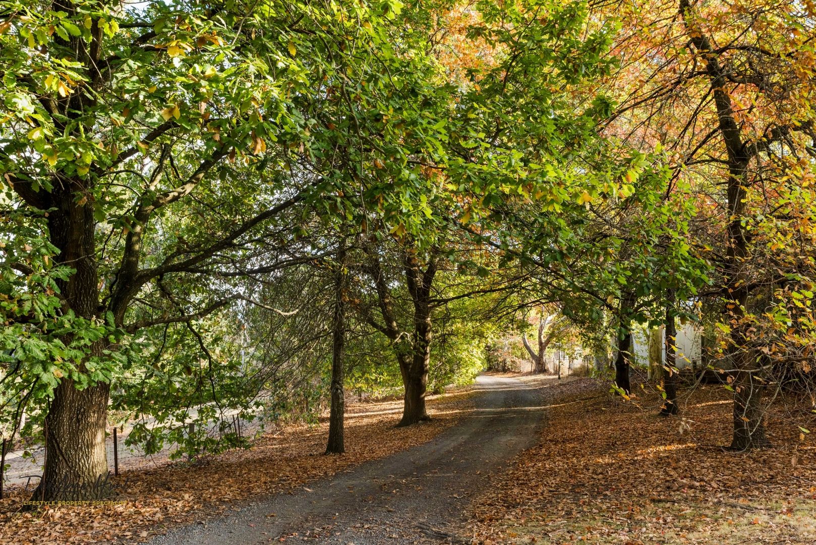 94 Tanahmerah Road, Balhannah SA 5242 House for Sale Domain