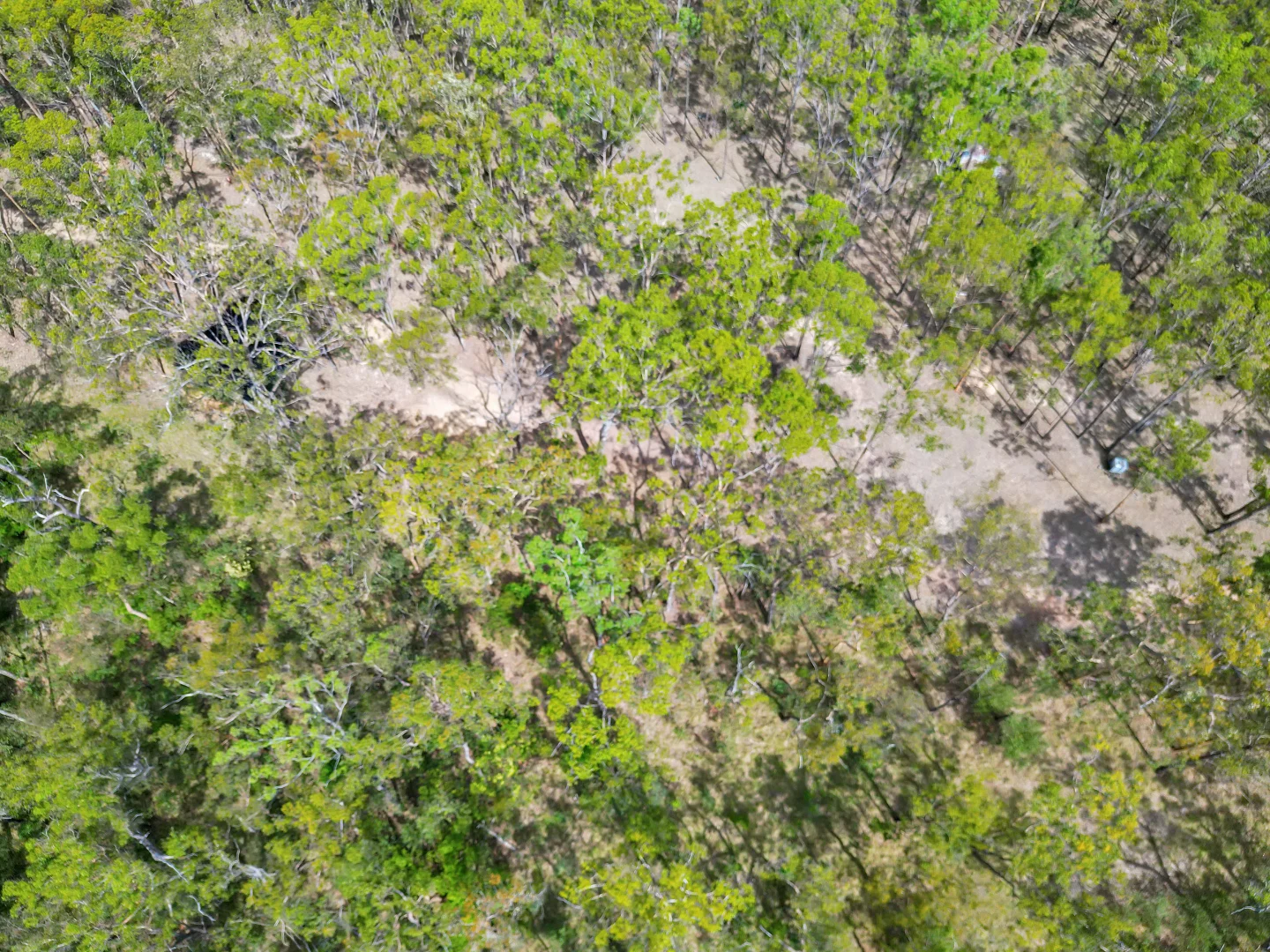 Additional image 17 of 301 Mud Flat Road, Drake NSW 2469