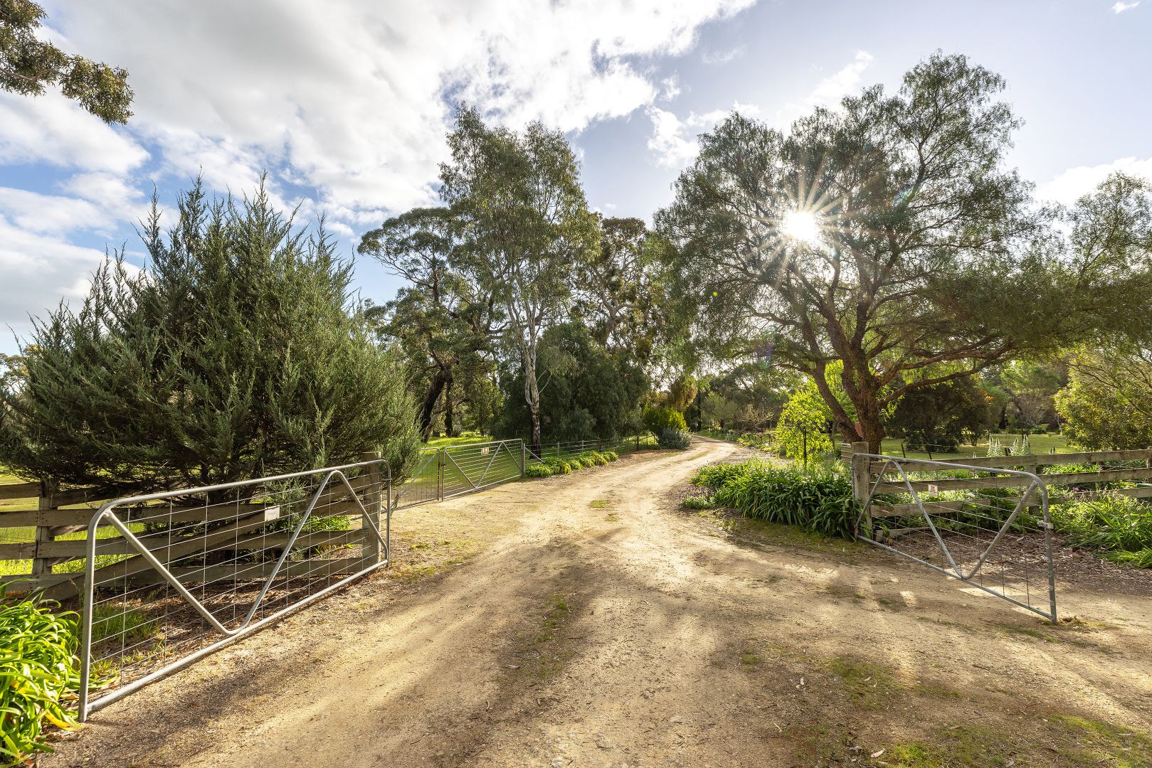 101 Banksia Lane, Naracoorte SA 5271, Image 1