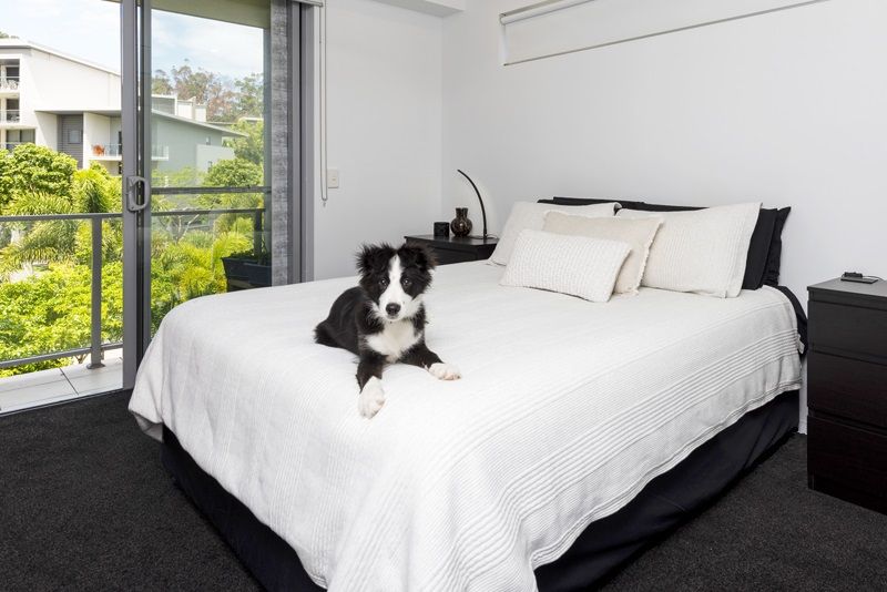 2 bedrooms Block of Units in 9 Wattle/154 Musgrave Avenue SOUTHPORT QLD, 4215