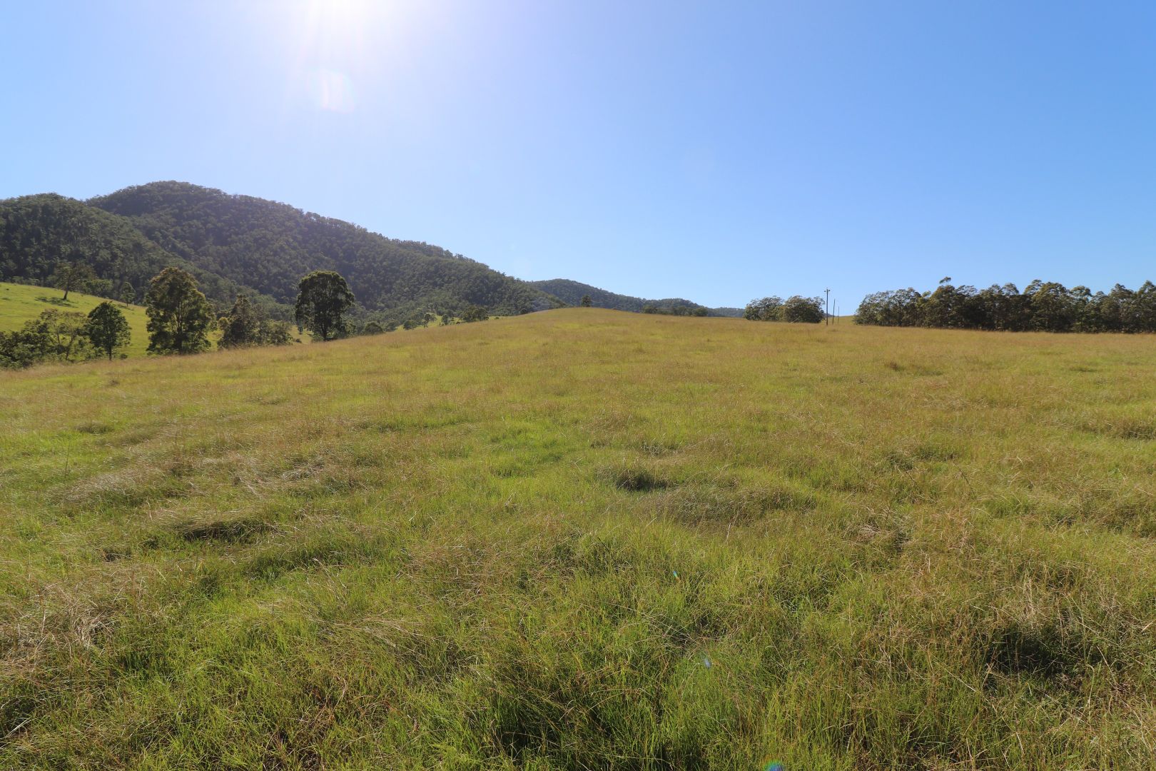 Lot 91/7986 Kempsey Rd, Lower Creek NSW 2440, Image 2