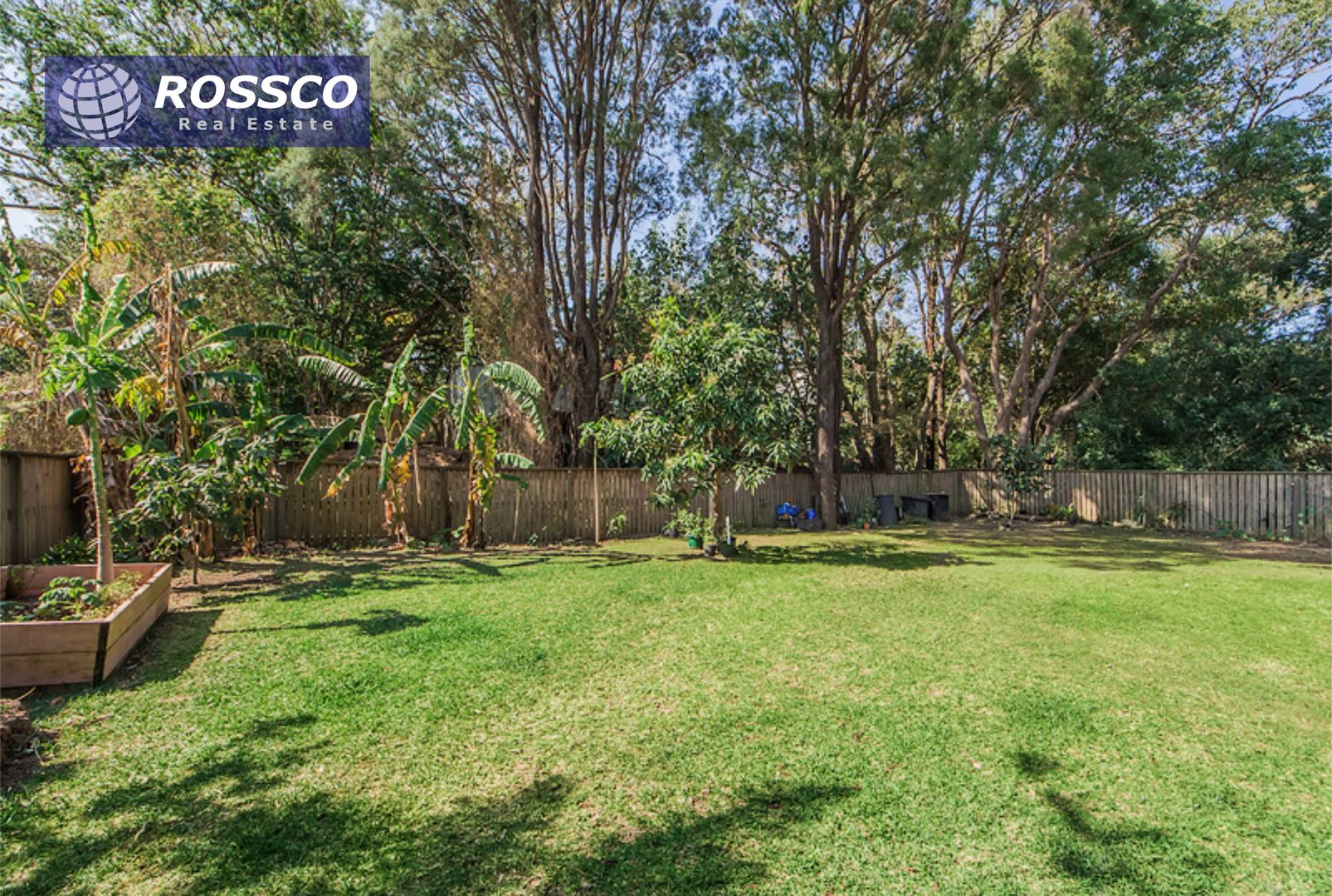 66 Hall Street, Sherwood QLD 4075, Image 2