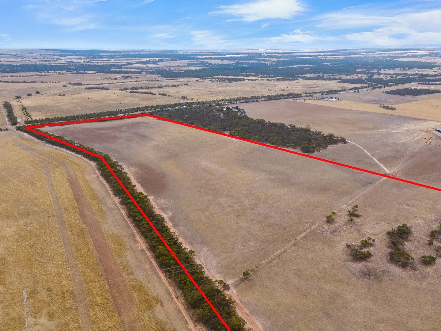 Lot 202 Monarto Road, Monarto SA 5254, Image 0