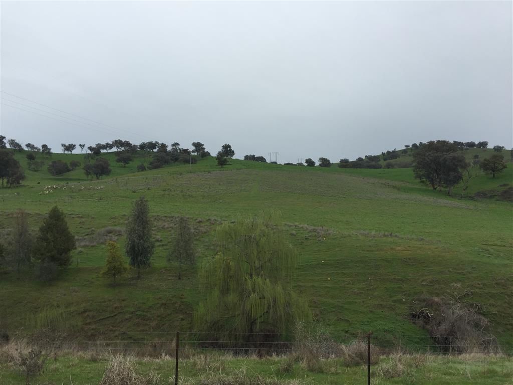 952 Sandy Creek Road, Adelong NSW 2729, Image 0