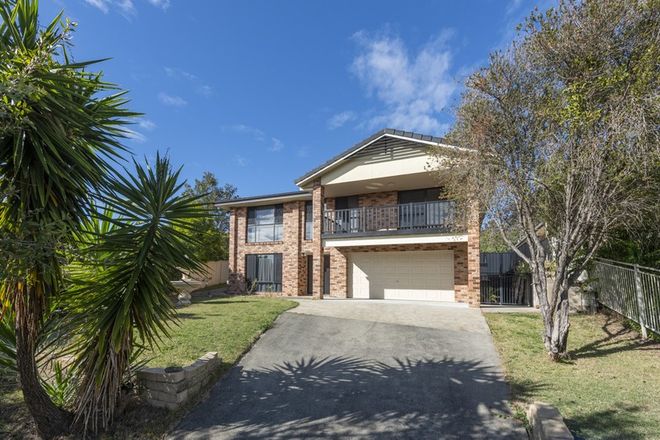 Picture of 6 Stringybark Court, SOUTH GRAFTON NSW 2460