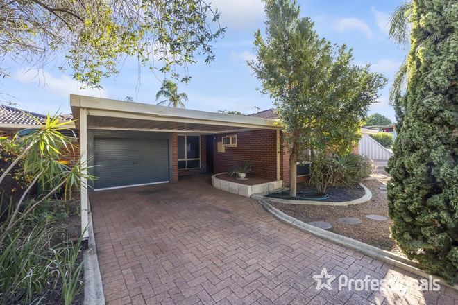 Picture of 40B Balfour Road, SWAN VIEW WA 6056