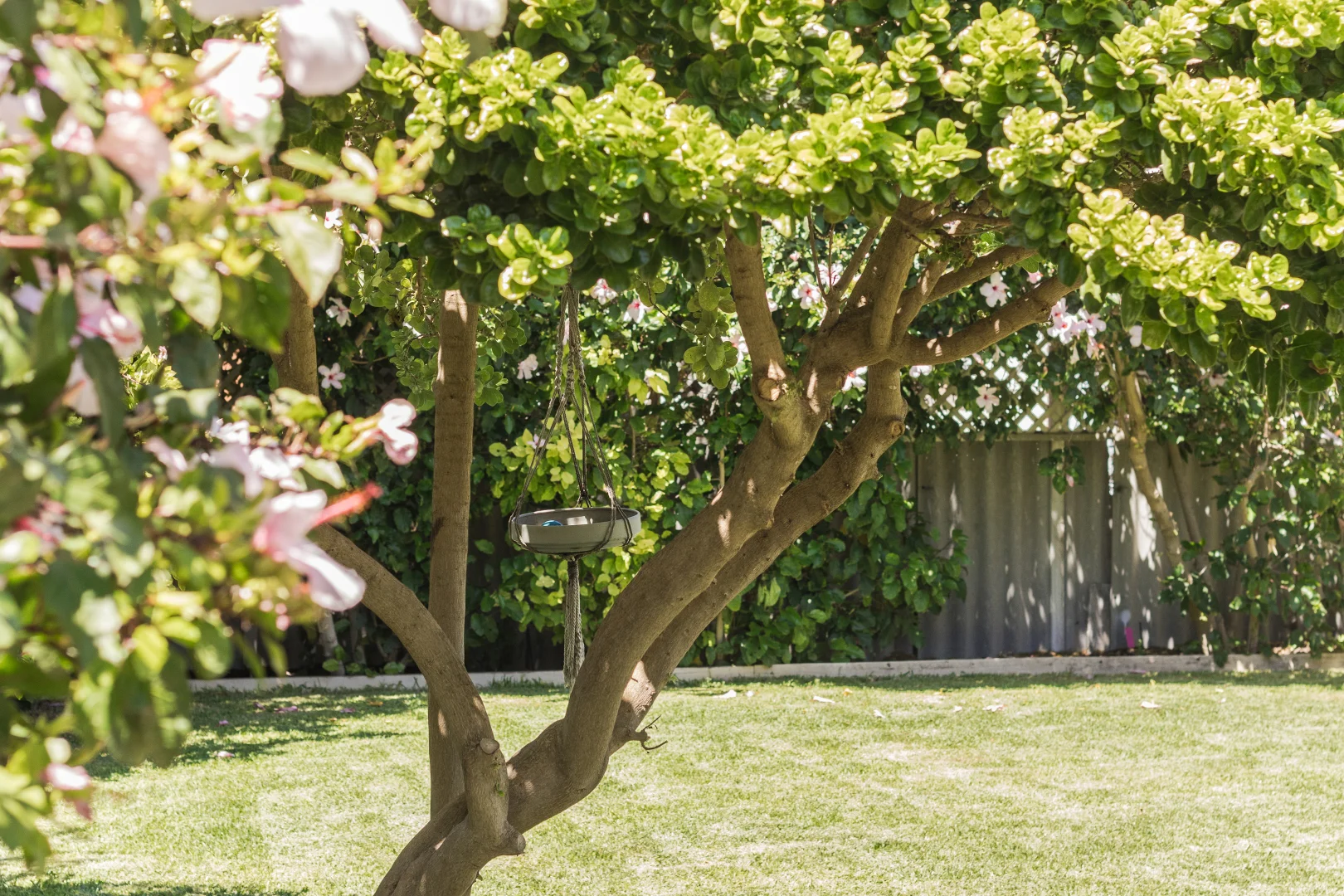 Additional image 22 of 3 Hickman Road, Silver Sands WA 6210