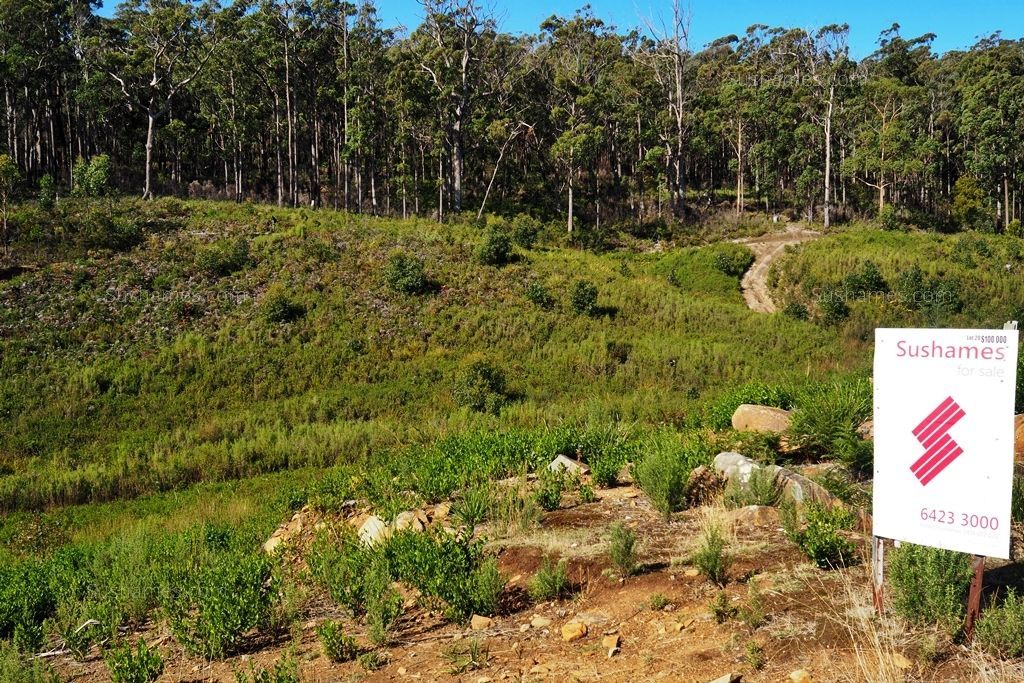 Lot 20 Forest Heights Drive, Tugrah TAS 7310, Image 1