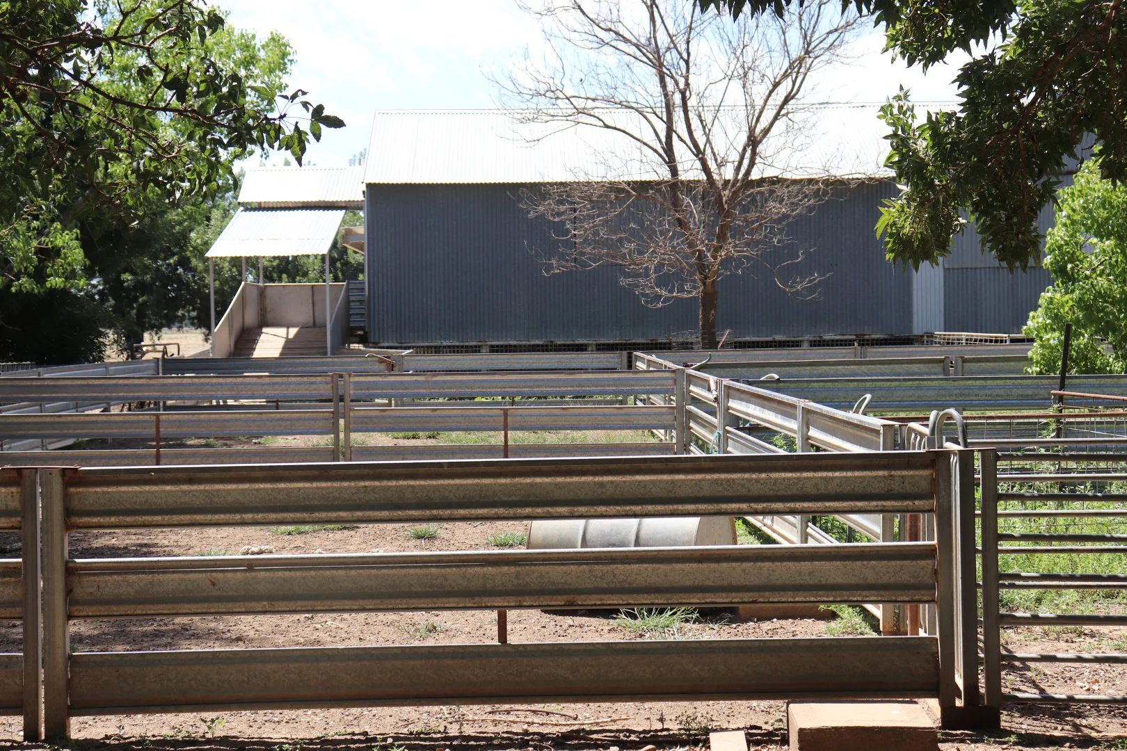 Image 3