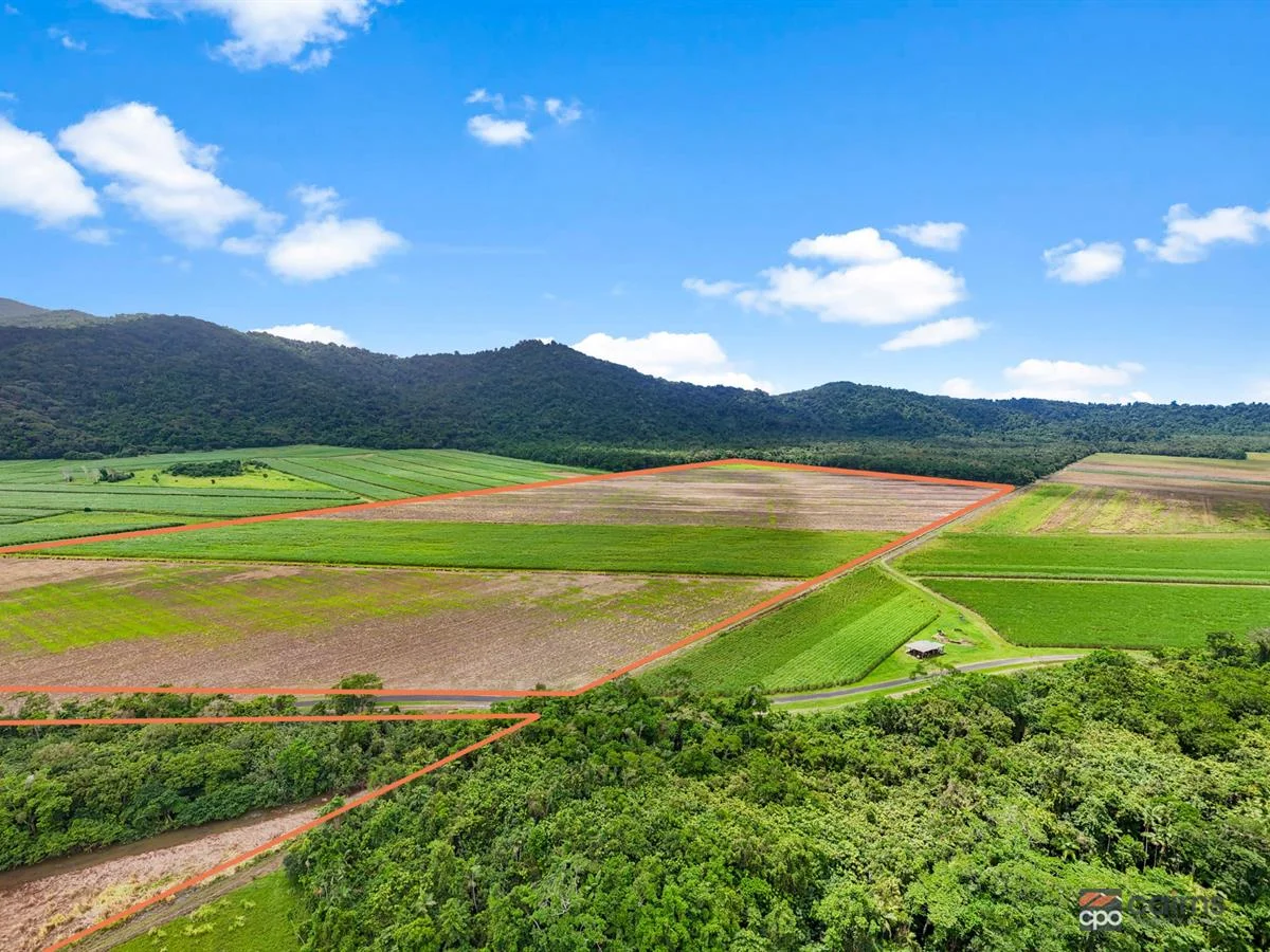 Additional image 3 of Lot 19 Barbagallo Road, Aloomba QLD 4871