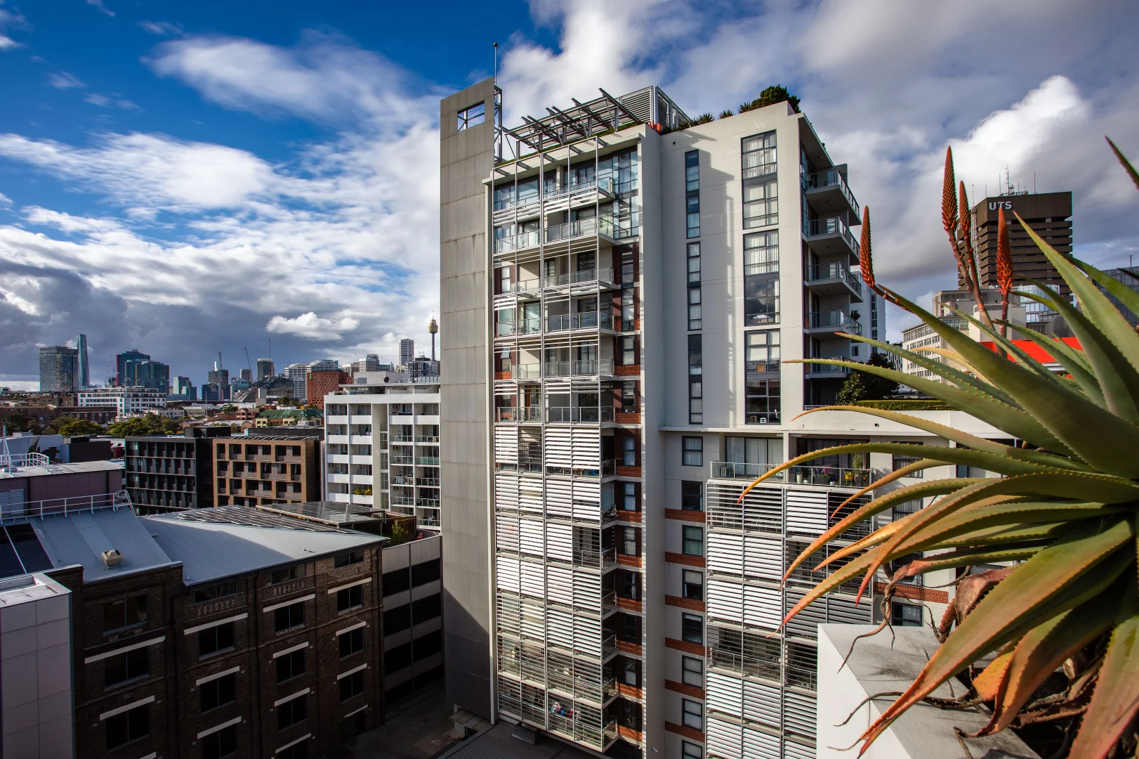 Additional image 14 of 604/58 Mountain Street, Ultimo NSW 2007