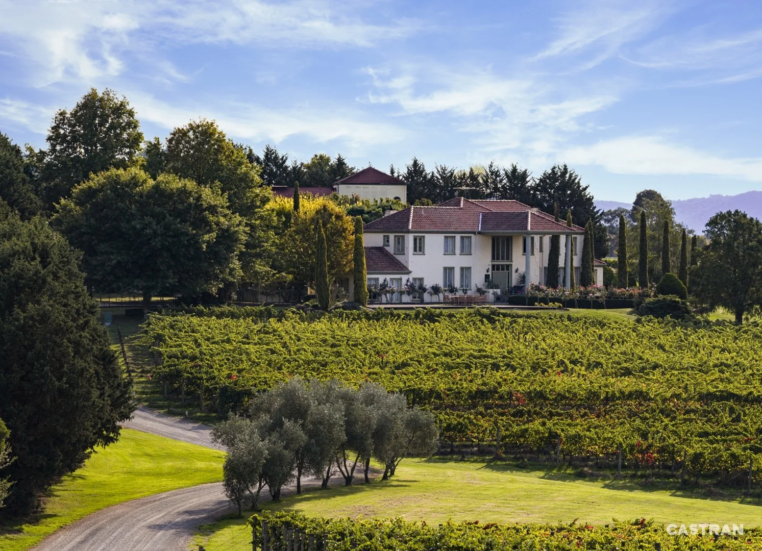 6 Maddens Lane, Coldstream VIC 3770