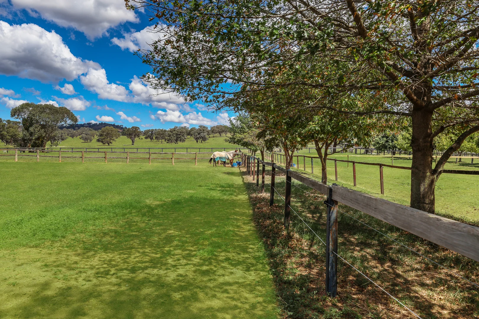 Additional image 25 of 217-251 Spring Flat South Lane, Mudgee NSW 2850