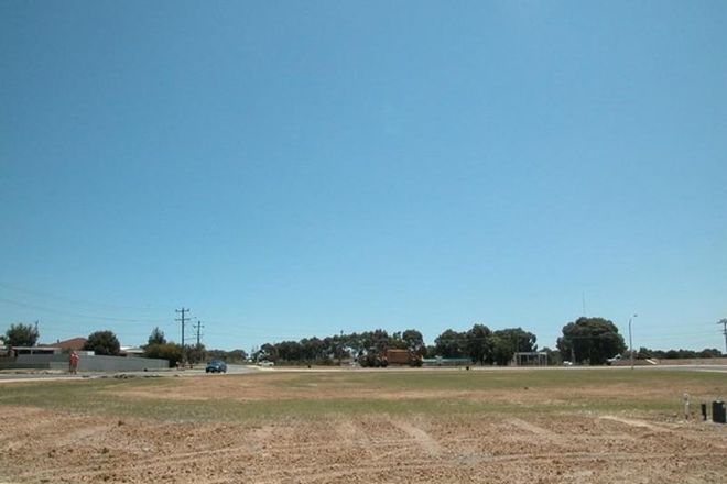 Picture of LOT 8 VALENCIA ROAD, CERVANTES WA 6511