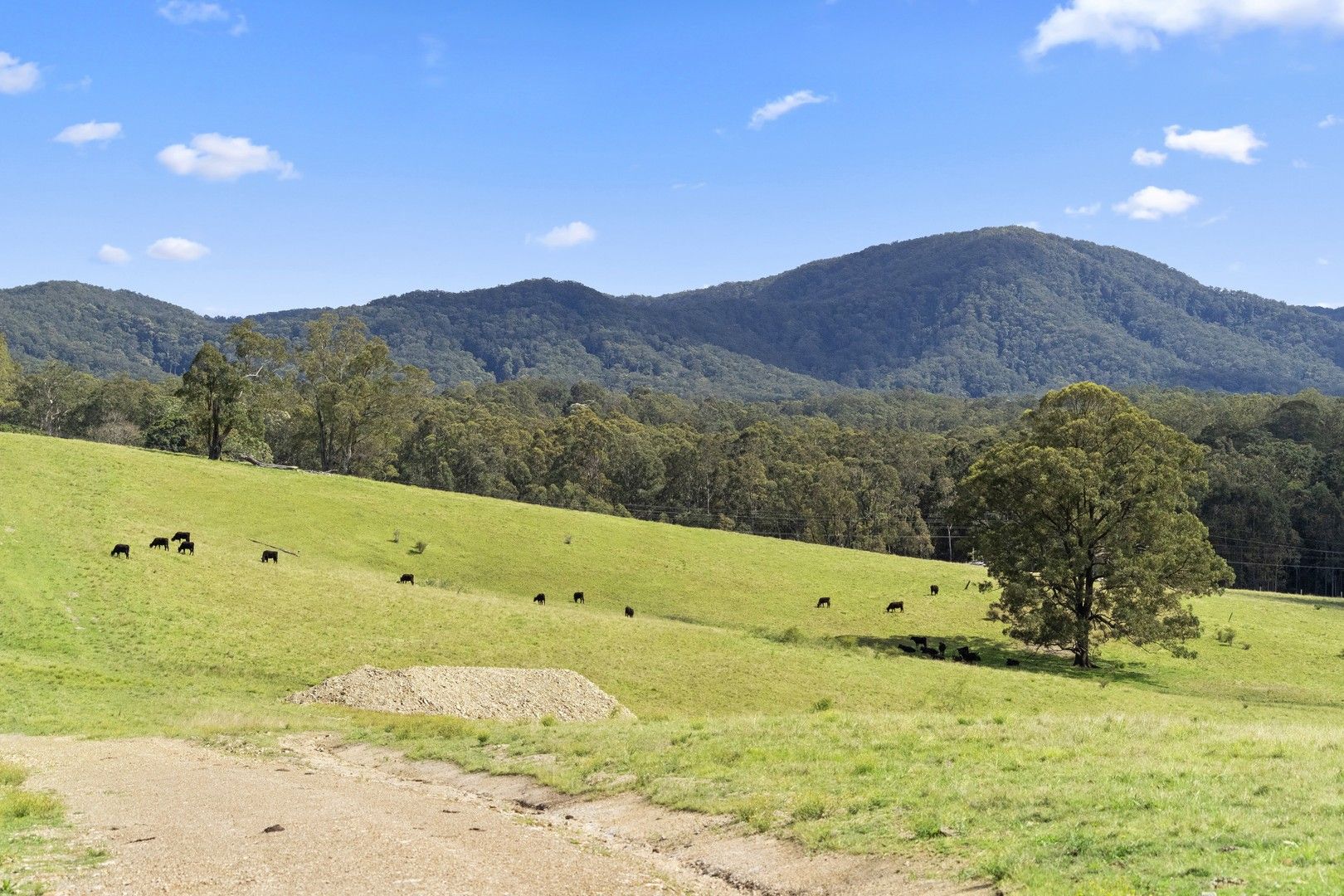 Lot 1, 36 Greys Lane, Girvan NSW 2425, Image 0