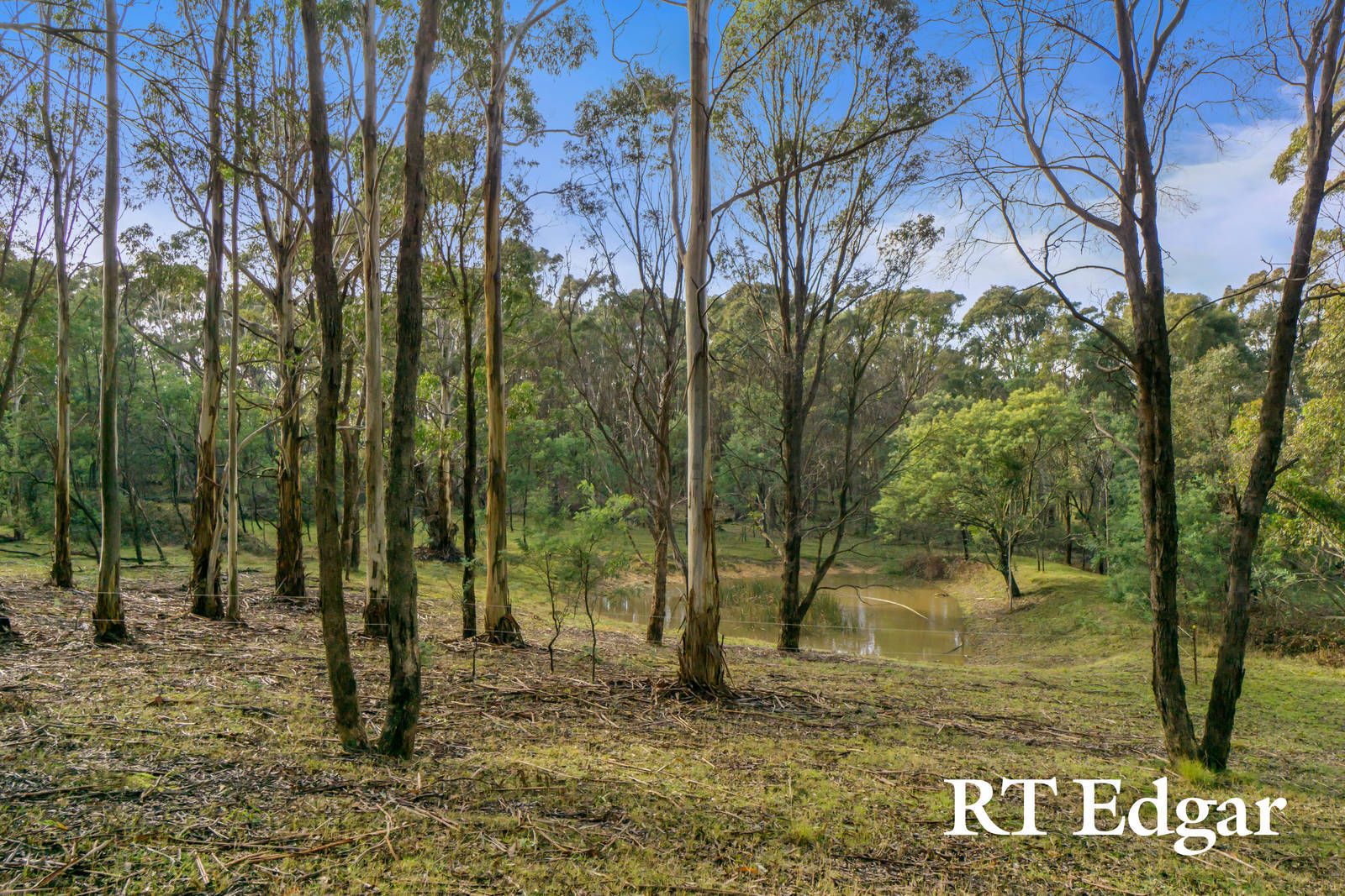 Lot 8 Marsh Court, Woodend VIC 3442, Image 2