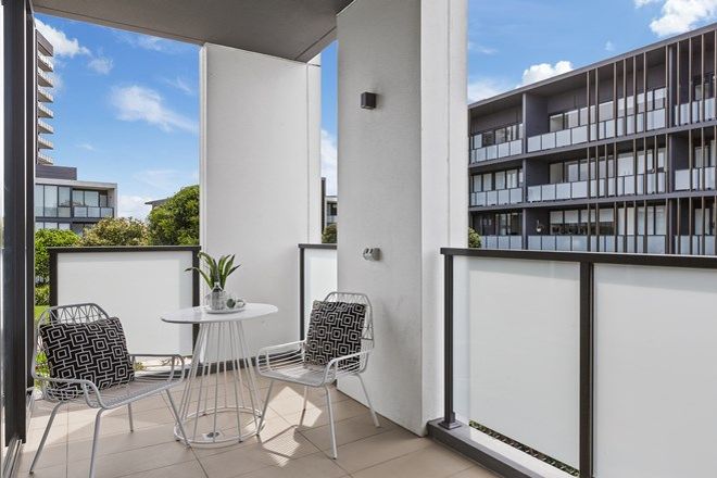 340 Apartments For Sale In Zetland Nsw 2017 Domain
