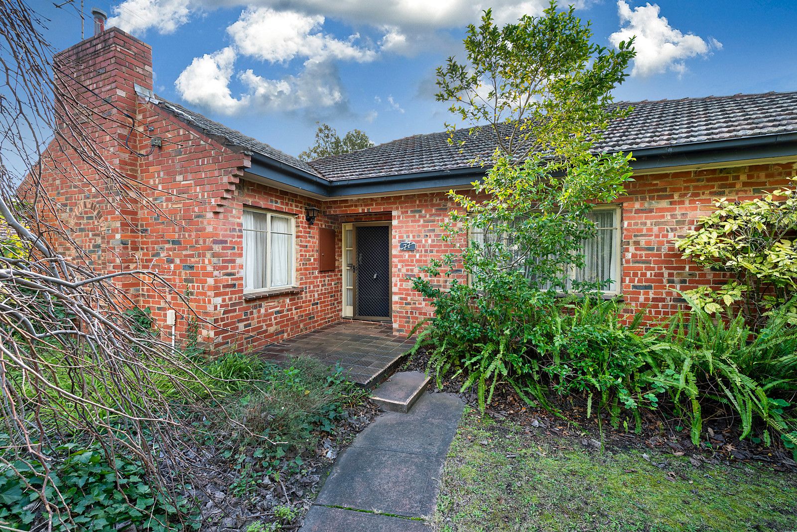 77 Laburnum Street, Blackburn VIC 3130, Image 1