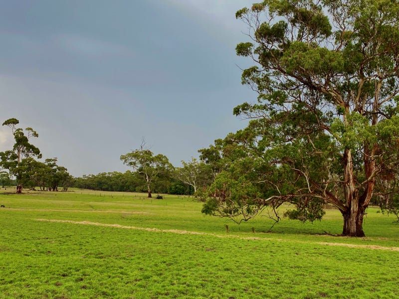 . CobdenWarrnambool Road, Glenfyne VIC 3266 Farm for Sale Domain