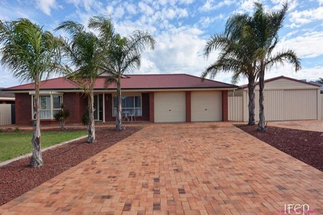 Picture of 9 Middleback Drive, WHYALLA JENKINS SA 5609